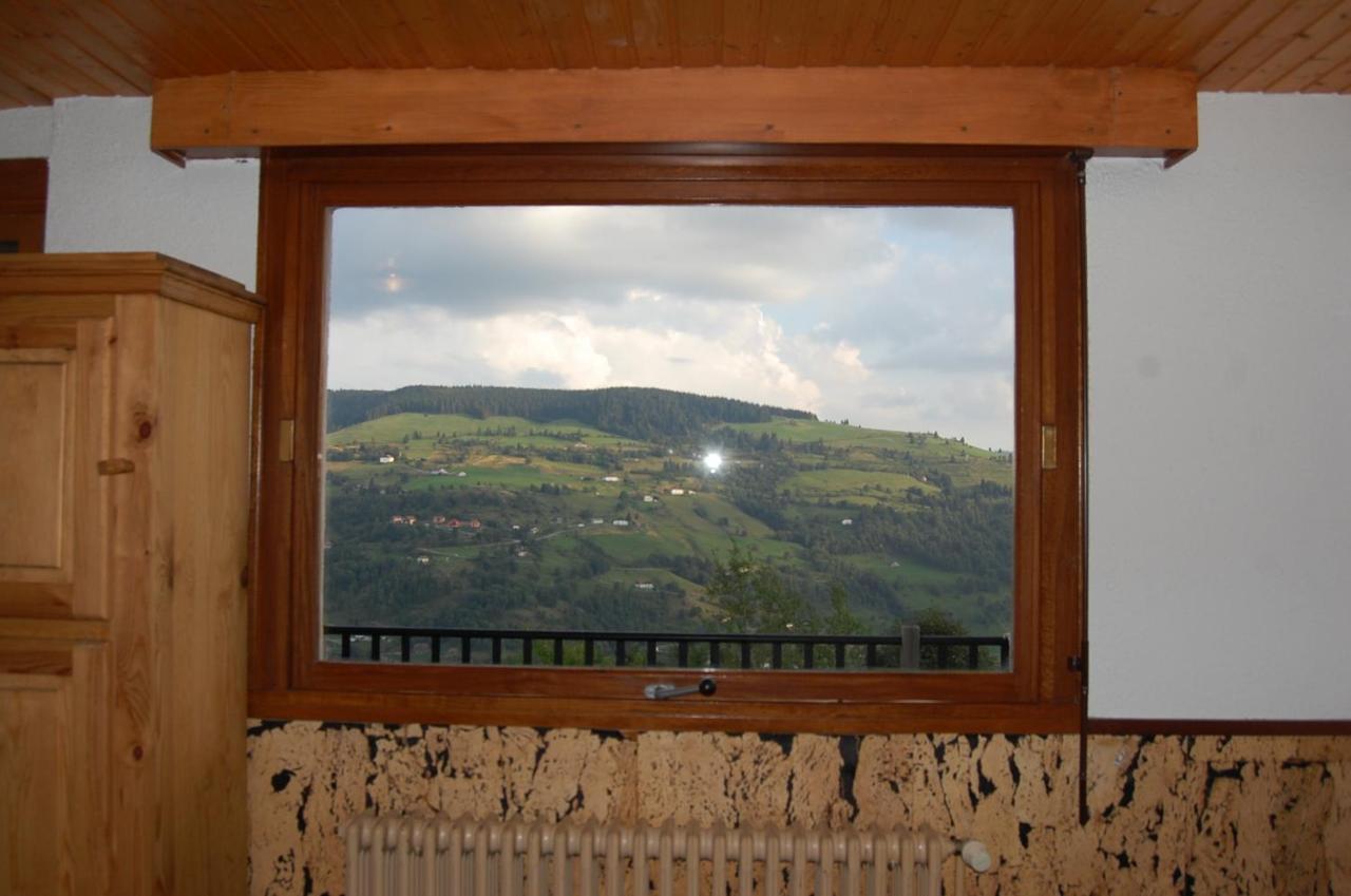 Studio Le Panorama La Bresse Exterior photo